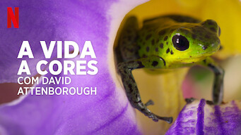 A Vida a Cores, com David Attenborough (2021)